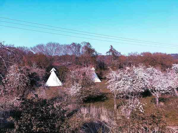 Wye Valley tipi (tot 5 personen)