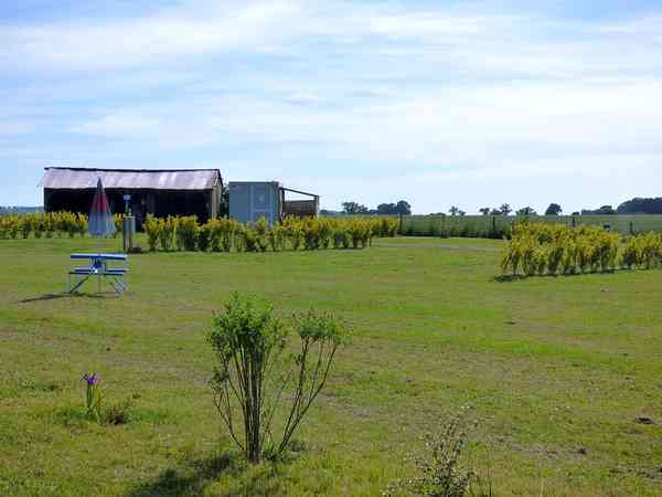 Electric optional grass pitch