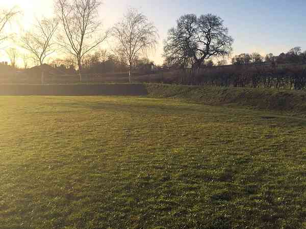 Grass field Grass field