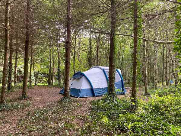 Parcela sobre suelo de bosque sin electricidad para tienda (sin servicios)