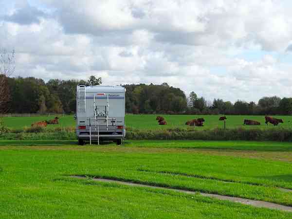 Spacious grass pitches with unobstructed views Spacious grass pitches with unobstructed views