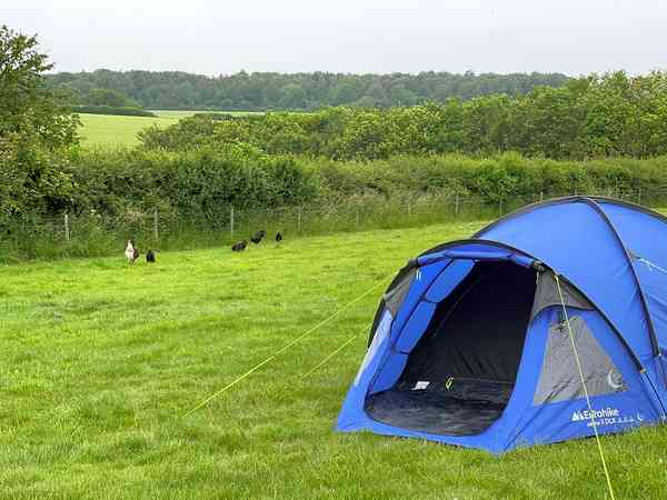 Non-electric grass and earth tent pitch