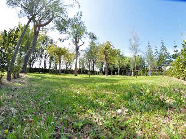 10-amp electric grass pitch