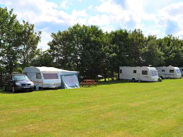 Electric grass pitch
