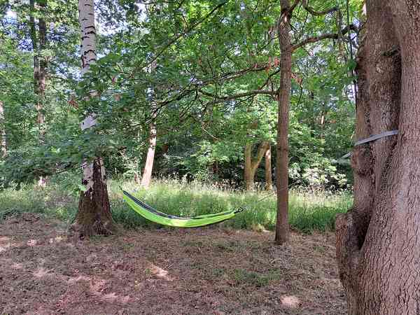 Hammock 无电 林地 帐篷 单元