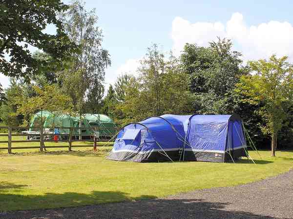 Flat grass tent pitches Flat grass tent pitches