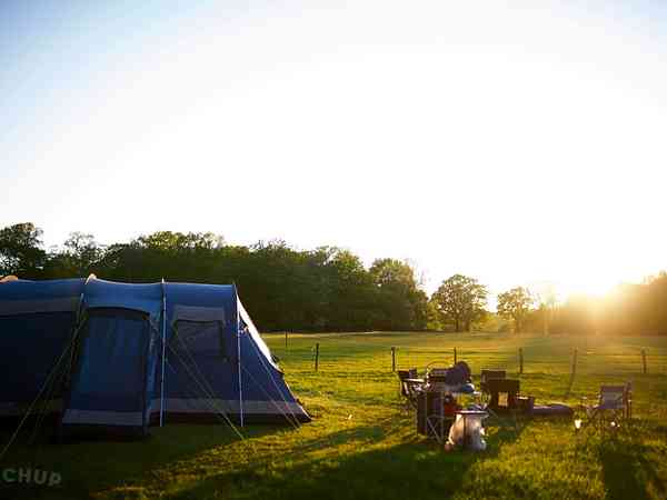 The Meadow non-electric grass tent pitch