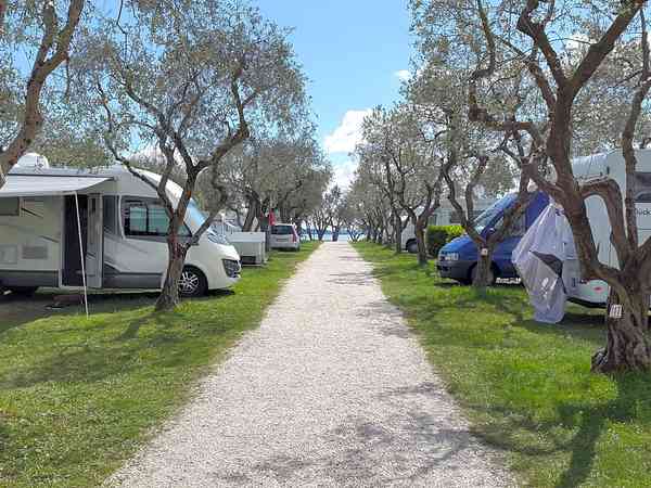 Serviced pitches Serviced pitches