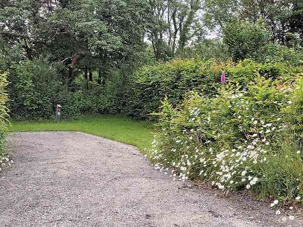 Fully-serviced hardstanding and grass touring pitch (small)