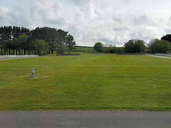 Electric grass pitch