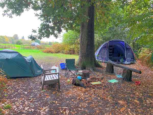 Oak Tree non-electric forest floor tent pitch