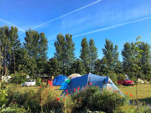 Electric optional grass tent, trailer tent or campervan pitch (four man)