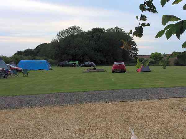 Grass pitches Grass pitches