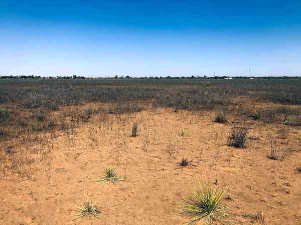 Non-electric hardstanding and grass pitch
