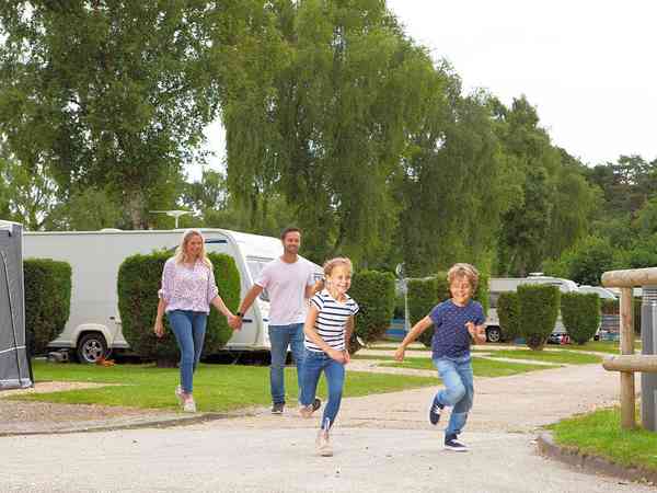 Parcel·la de gespa amb electricitat per a caravanes Meadows