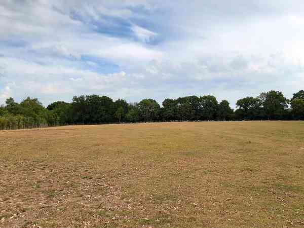 Non-electric grass and earth tent pitch