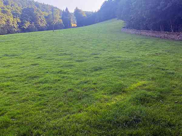 Non-electric grass motorhome pitch