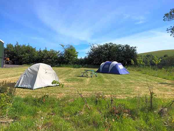 Emplacement sur herbe avec électricité optionnelle