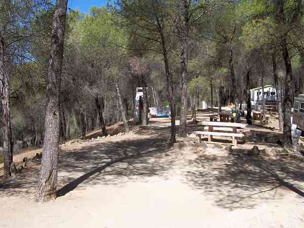 Fully-serviced earth motorhome pitch (pinewood)