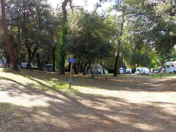 Lote para motor-casa de grama com eletricidade