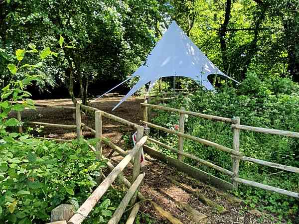 Bluebell Woodland electric optional forest floor tent pitch (secluded)