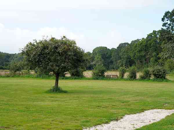 Primitive grass RV site