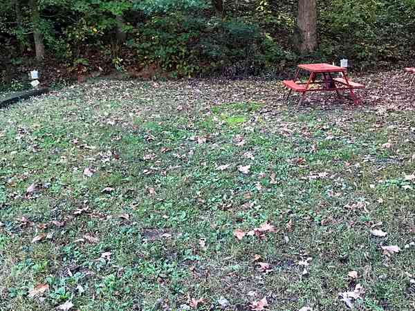 Powered grass tent or trailer tent site (2 adults and 2 children)