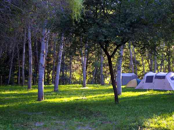 Electric grass pitch