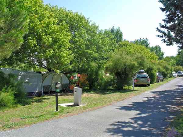 Grasbewachsener Stellplatz mit Stromanschluss