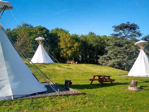 Tipi