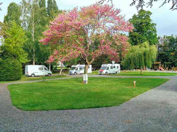 Power optional grass site