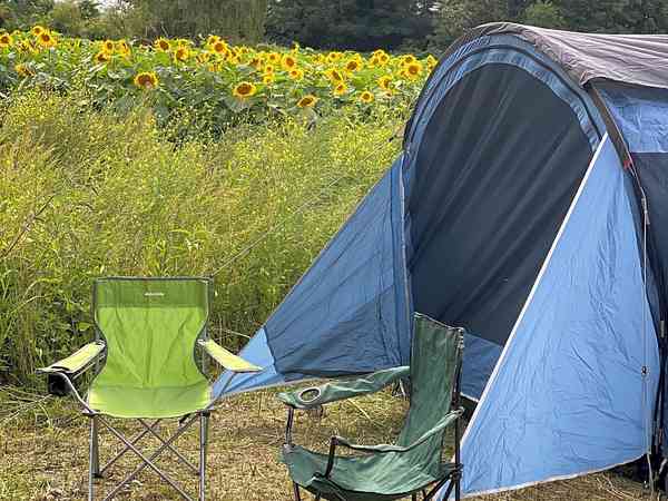 Non-electric grass and earth tent pitch