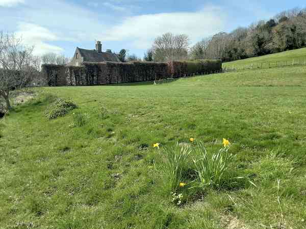 Non-electric grass tent pitch