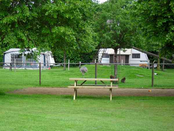 Grasbewachsener Stellplatz ohne Stromanschluss