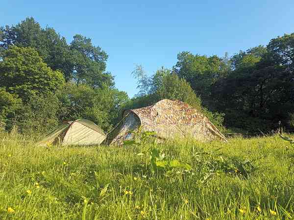 Spacious pitches in the woodland Spacious pitches in the woodland