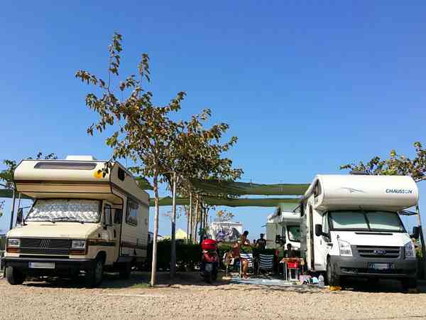 Comfort pitches divided by small trees Comfort pitches divided by small trees