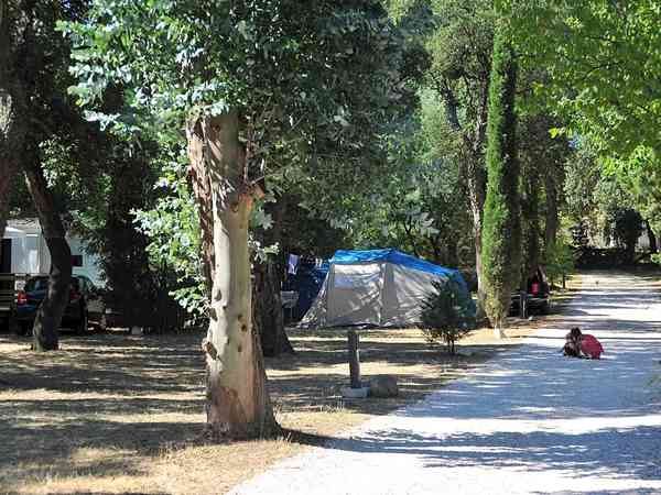 Emplacement sur herbe et sable avec électricité optionnelle