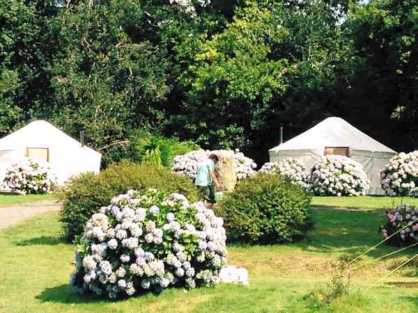 Yurt