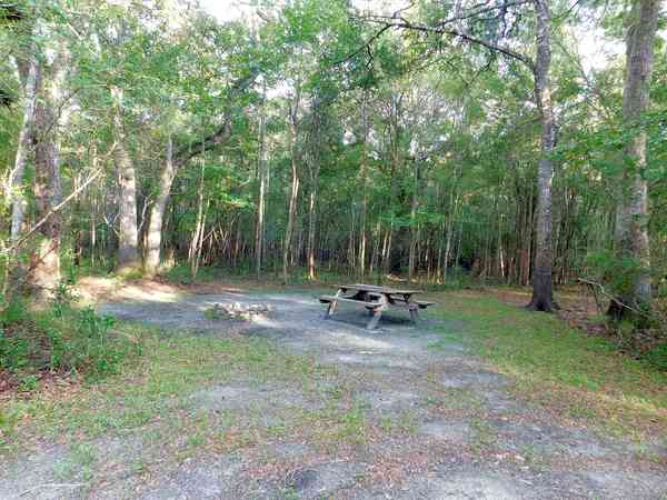 Secluded woodland areas Secluded woodland areas