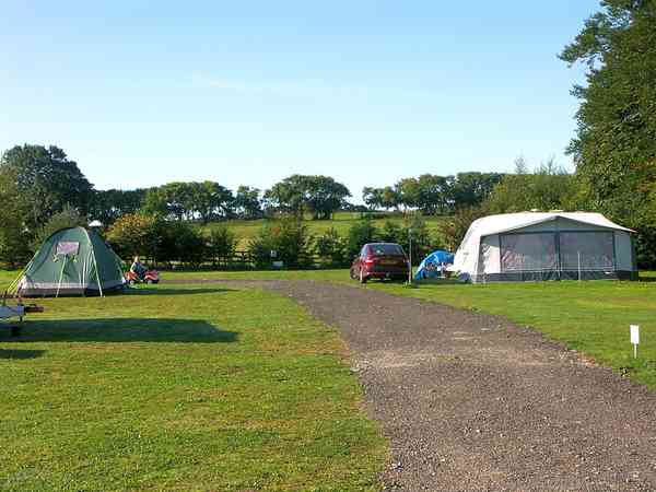 Electric grass tent pitches Electric grass tent pitches