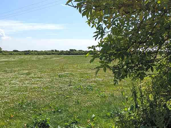Non-electric grass tent pitch