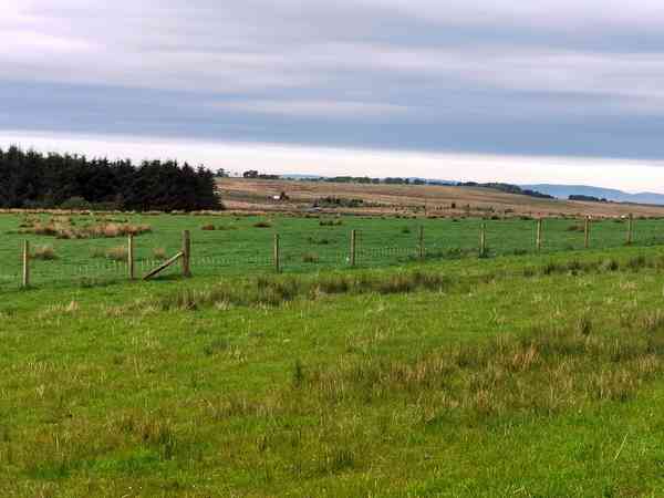 Non-electric grass tent pitch