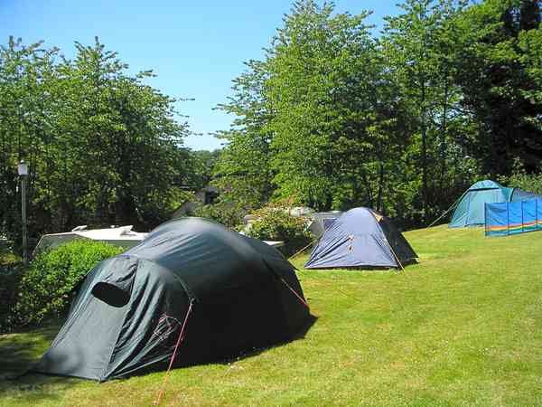 Op gras staplaats voor een tent of voor vouwwagen , met elektriciteit