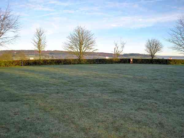 Primitive grass site