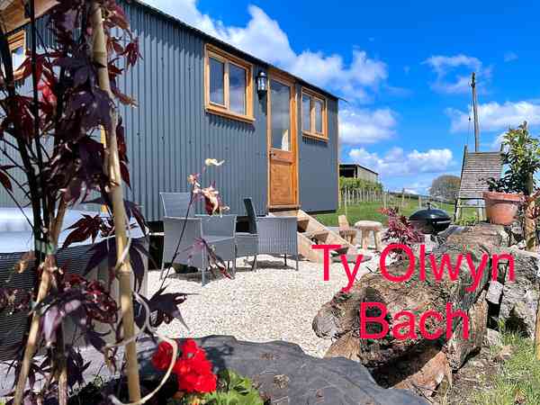 Ty Olwyn Bach shepherd's hut
