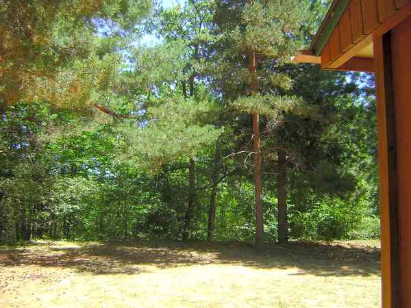 Emplacement sur herbe avec électricité optionnelle