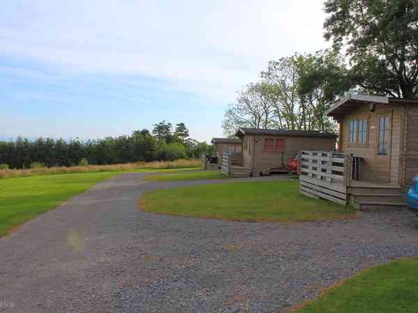 Bungalow Starling Cabin