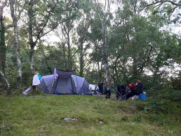 A family enjoying one of our forest pitches! A family enjoying one of our forest pitches!