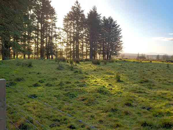 Non-electric grass tent pitch