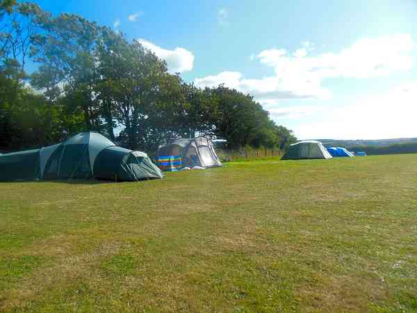 Electric grass tent or trailer tent pitch